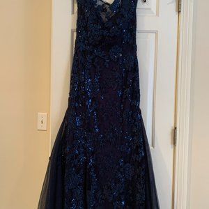 Evening Gown/Mother of the groom gown